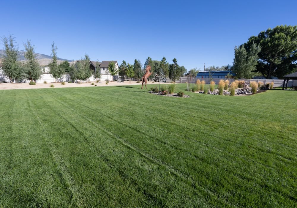 new sod grass northern nevada reno sparks california tahoe