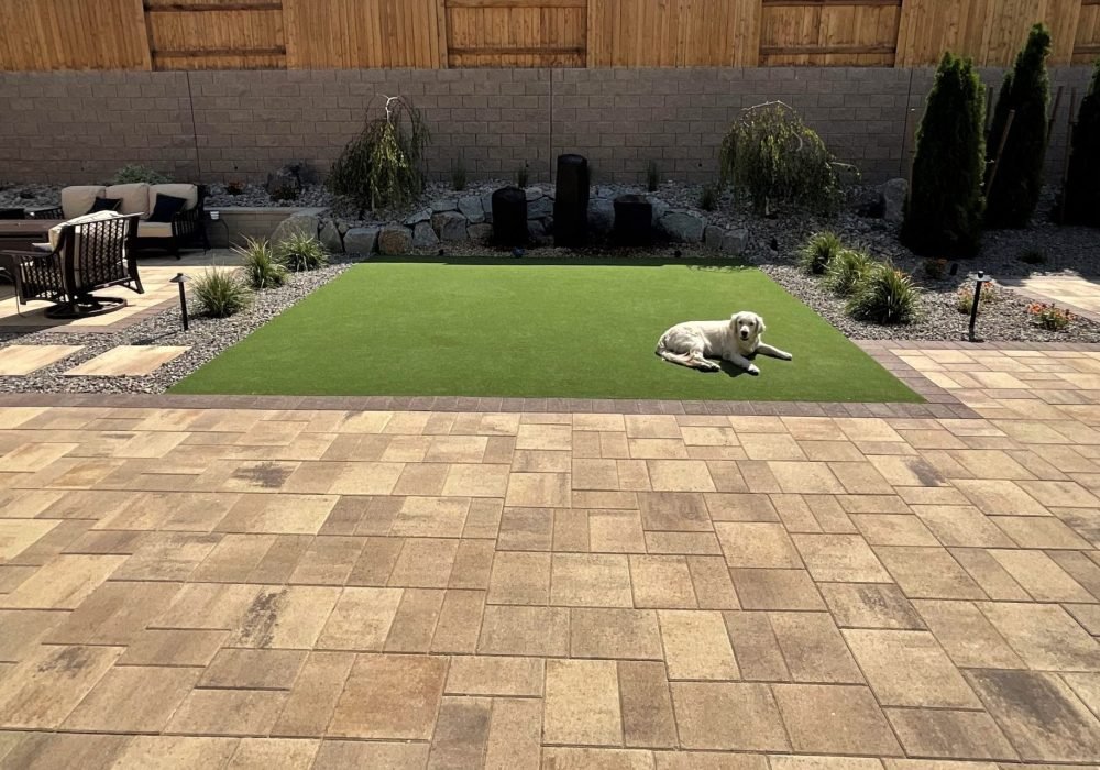 Landscaping paver patio and synthetic turf with yellow lab reno nevada tahoe california