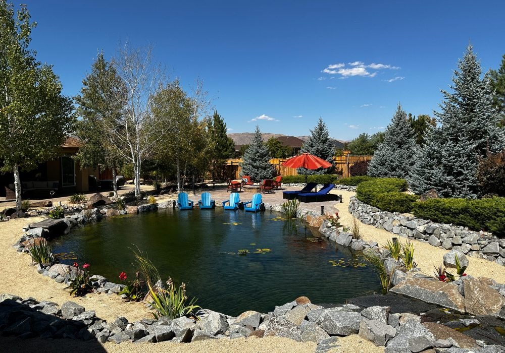 Natural Pond