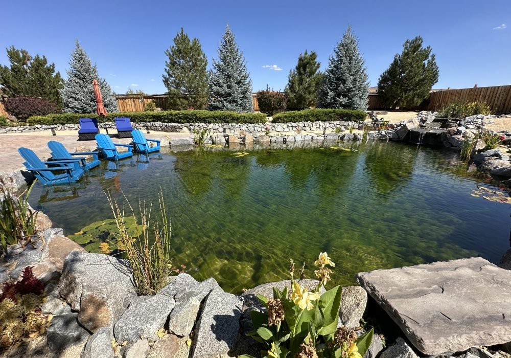 Natural Pond