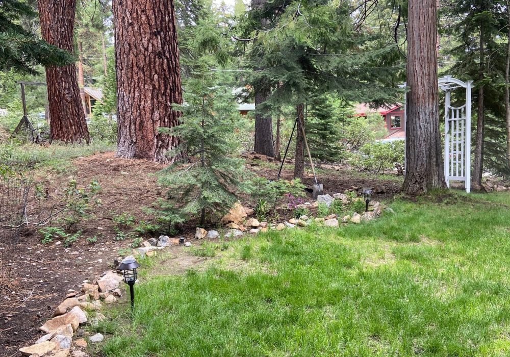 defensible fire space clearing services landscaping reno nevada tahoe california landscaping maintenance
