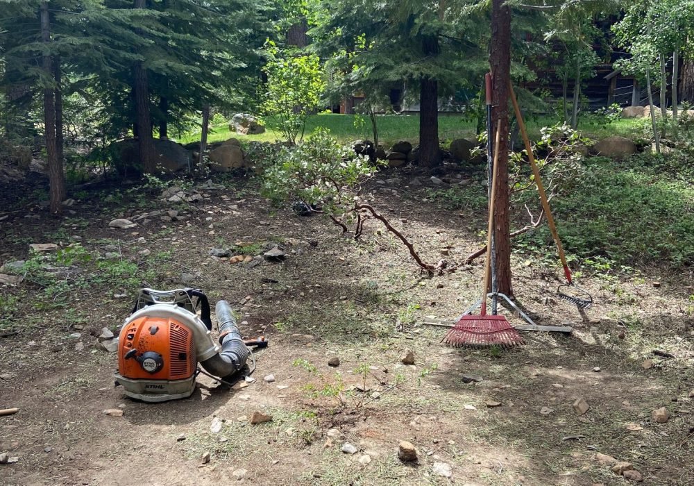 defensible fire space clearing services landscaping reno nevada tahoe california landscaping maintenance
