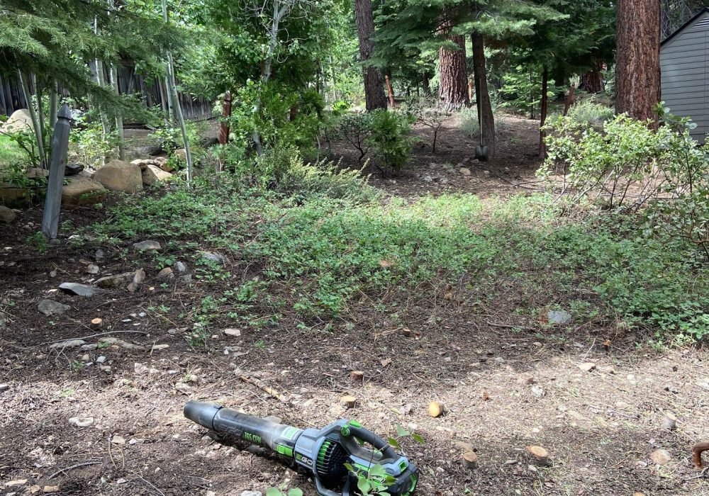 defensible fire space clearing services landscaping reno nevada tahoe california landscaping maintenance