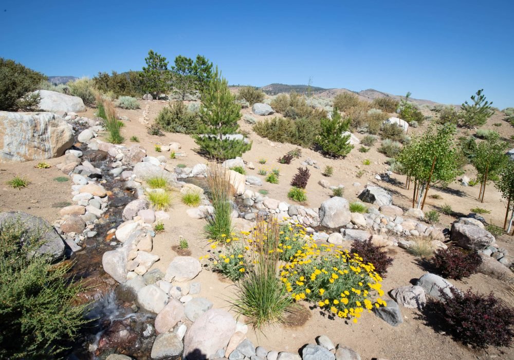 Xeriscaping residential landscaping Reno Nevada Tahoe California